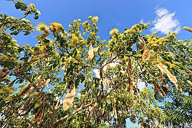 潜行游戏《二战：地下组织》新预告 2022年内发售